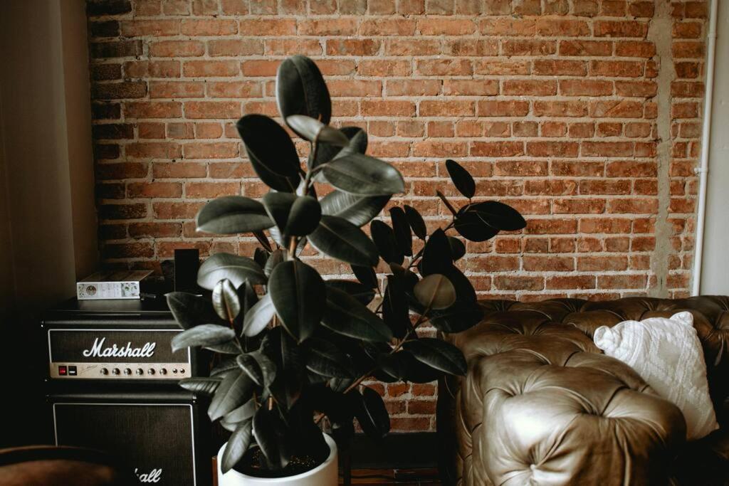 Appartamento The 511. A Luxury Loft On State St. Bristol Esterno foto